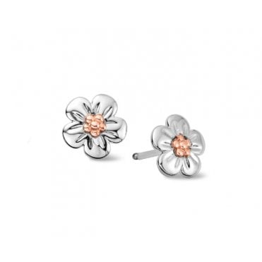 Clogau Forget Me Not Stud Earrings