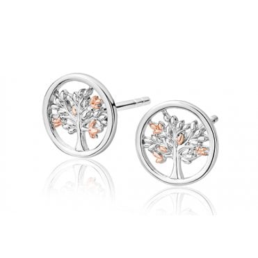 Tree of Life Stud Earrings