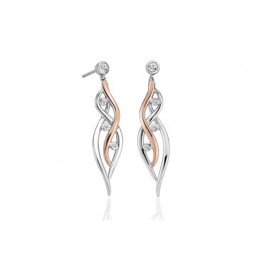 Swallow Falls Drop Earrings